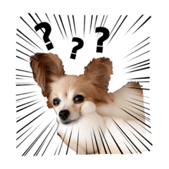 [LINEスタンプ] くみのゆかいな仲間達