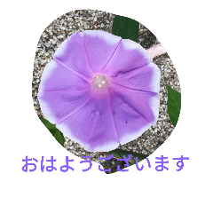 [LINEスタンプ] FLOWERZ