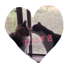 [LINEスタンプ] ちゃー＆ちゃむ