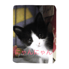 [LINEスタンプ] ふく と うみ