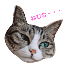 [LINEスタンプ] はなちゃんのきもち