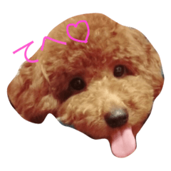 [LINEスタンプ] もこもこのもこ