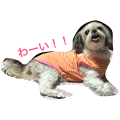 [LINEスタンプ] 可愛いみるくちゃん