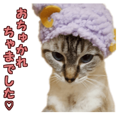 [LINEスタンプ] 福花ママんち(2)