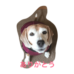 [LINEスタンプ] ぺぺカルミート2