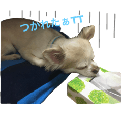 [LINEスタンプ] ジャックの日常。