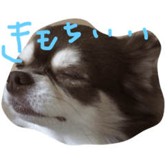 [LINEスタンプ] chai funny face