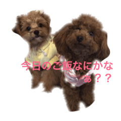 [LINEスタンプ] マミちゃん♡がんも君