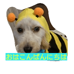 [LINEスタンプ] レオ丸のはんなりスタンプ