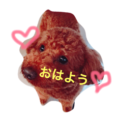 [LINEスタンプ] 愛犬♡チョコロン