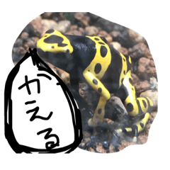 [LINEスタンプ] AnimalAnimal stamp