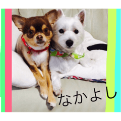 [LINEスタンプ] ちゃむぱん