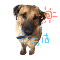 [LINEスタンプ] ジャック,