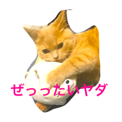 [LINEスタンプ] コタロウ日記