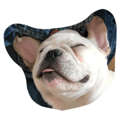 [LINEスタンプ] ZZZ,,,BUBU