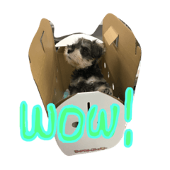 [LINEスタンプ] バロ氏。