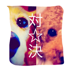 [LINEスタンプ] ゆかいなワンズたち