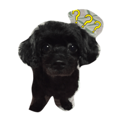 [LINEスタンプ] pidpee