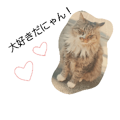 [LINEスタンプ] 大好きなサラン