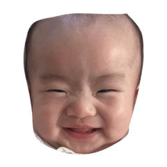 [LINEスタンプ] りんきち