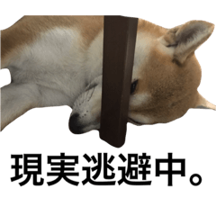 [LINEスタンプ] じゃむさぶ スタンプ