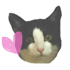 [LINEスタンプ] 福谷マチルダとはっさくと杉野くー