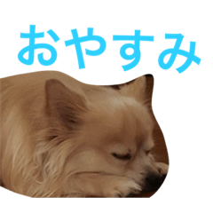 [LINEスタンプ] raisan