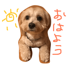[LINEスタンプ] malx  Sissi