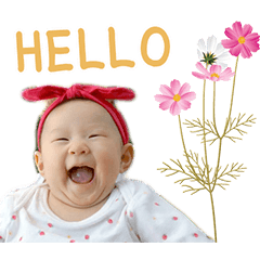 [LINEスタンプ] Plearn Plearn the baby