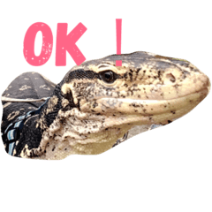 [LINEスタンプ] テンくん