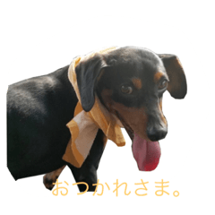 [LINEスタンプ] うちのかわいい3兄弟