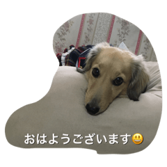 [LINEスタンプ] 姫ちゃん2