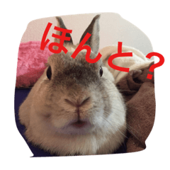 [LINEスタンプ] みいのつぶやき