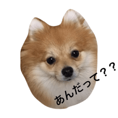 [LINEスタンプ] chip＆parl