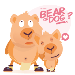 [LINEスタンプ] IS THIS A BEAR OR A DOG ？の画像（メイン）