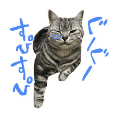 [LINEスタンプ] ぽみすた1