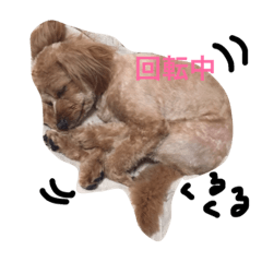 [LINEスタンプ] ピノモコ