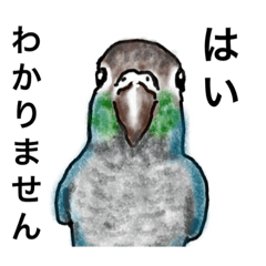 [LINEスタンプ] ウロコインコとセキセイ兄さんズ