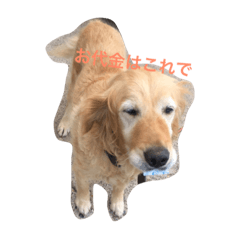 [LINEスタンプ] ぷーちゃん1