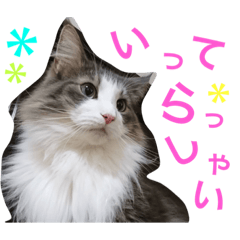 [LINEスタンプ] 蓮とエルフ