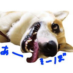 [LINEスタンプ] ルル と ララ