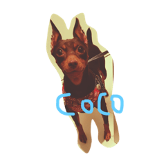[LINEスタンプ] cocophoto