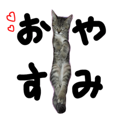 [LINEスタンプ] ぶーたろさんすたんぷ