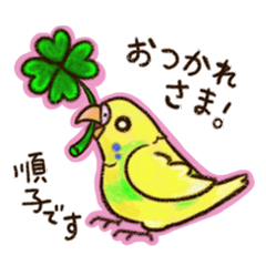 [LINEスタンプ] 順子ちゃんのセキセインコ