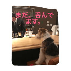 [LINEスタンプ] どんとです