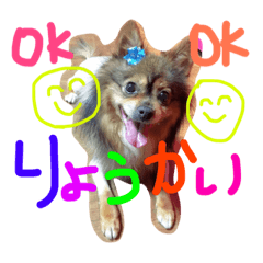 [LINEスタンプ] はくらむじょーてん