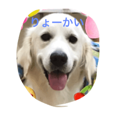 [LINEスタンプ] パルパル508