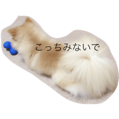 [LINEスタンプ] ぶさかわポメのもこちゃん2
