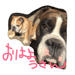 [LINEスタンプ] ニシふぁみりー