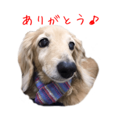 [LINEスタンプ] ふろてぃん すたんぷ